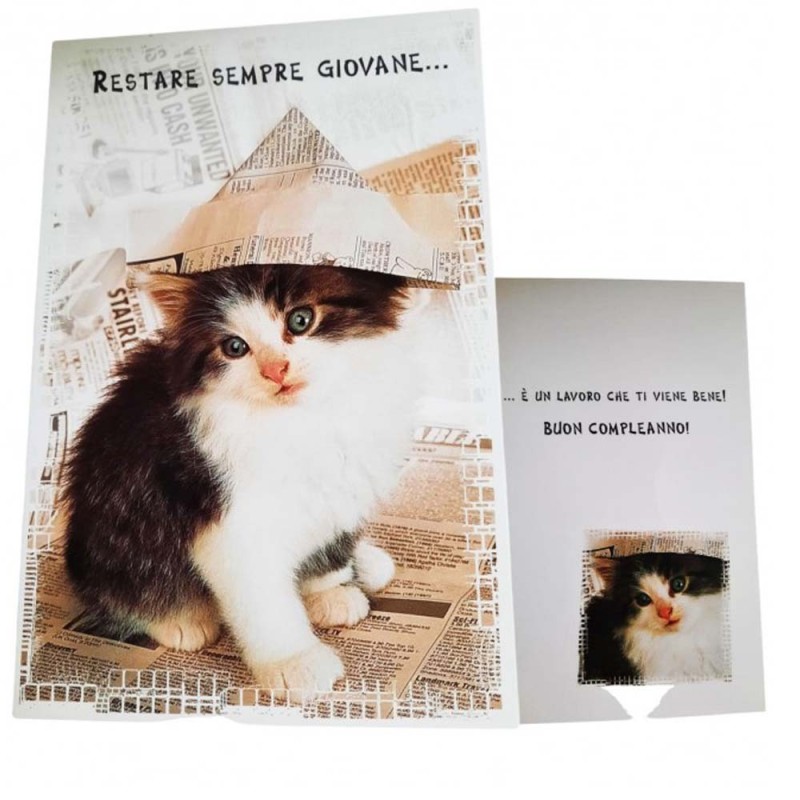 Biglietto Augurale Buon Compleanno Gattini – Messaggio Divertente “Restare Sempre Giovane” – 17x12 cm