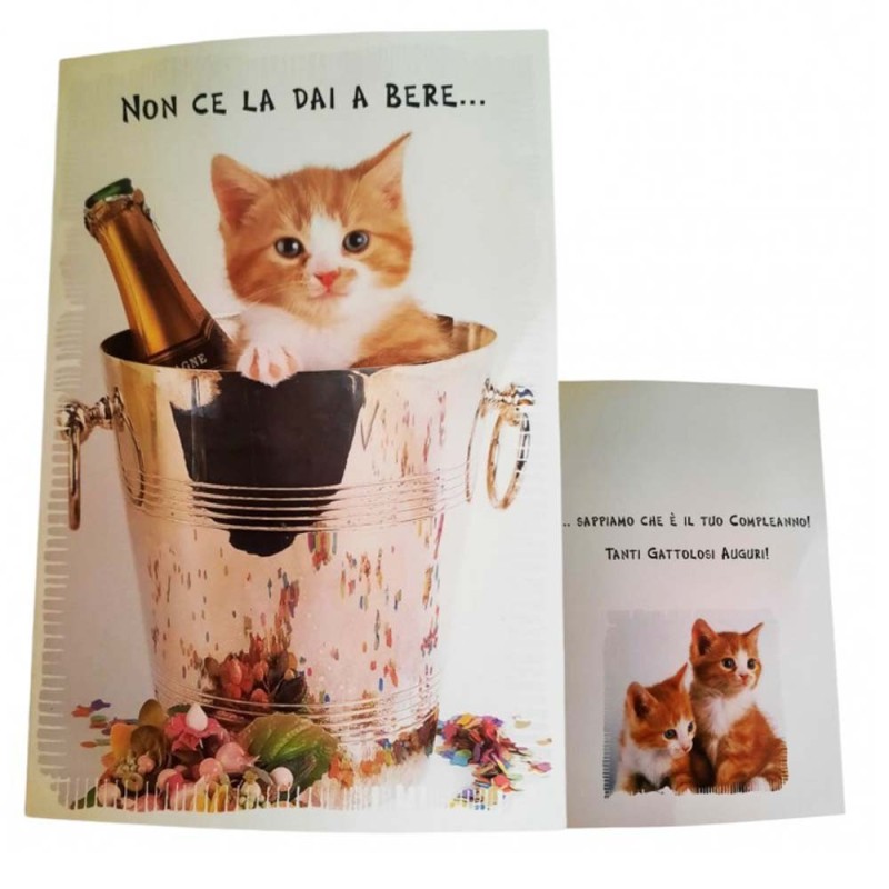 Biglietto Augurale Compleanno Gattini 17x12 cm – “Non Ce La Dai a Bere” – Idea Regalo Divertente e Originale
