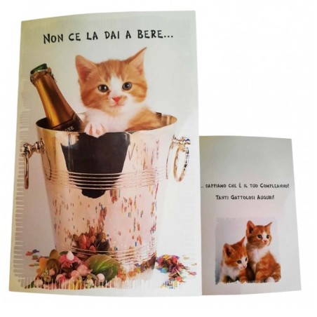 Biglietto Augurale Compleanno Gattini 17x12 cm – “Non Ce La Dai a Bere” – Idea Regalo Divertente e Originale