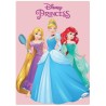 Plaid Disney Principesse 100x140 cm in Morbido Pile | Coperta Calda per Bambini Idea Regalo Compleanno e Cameretta