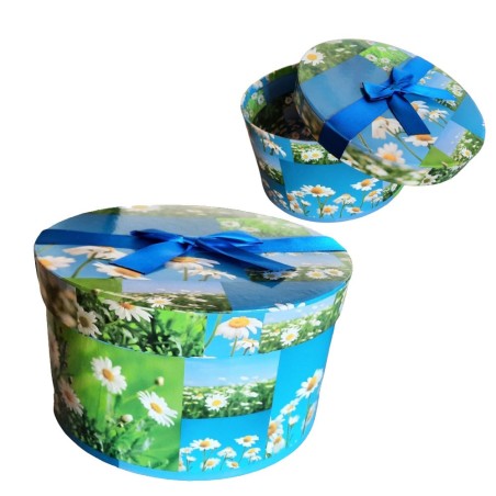 Scatola Regalo Rotonda 20x20x11 cm con Fiori di Margherita e Fiocco Blu – Confezione Elegante in Cartone Decorato