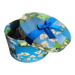 Scatola Regalo Rotonda 18x18x9 cm con Fiori di Margherita e Fiocco Blu – Confezione Elegante in Cartone Decorato