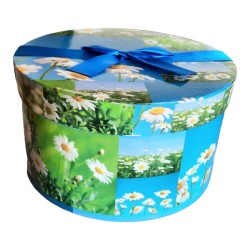 Scatola Regalo Rotonda 18x18x9 cm con Fiori di Margherita e Fiocco Blu – Confezione Elegante in Cartone Decorato