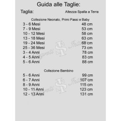 Costume “Piccola Regina” per Bambini Tutina Principessa Completa con Corona, Gonna di Tulle e Copriscarpe,