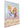 Quaderno Maxi Rig. C Principesse Disney A4 - 100gr, Soggetti Assortiti, Set da 10 Pz