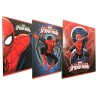 Set 10 Quaderni Maxi Spiderman Rigo B - Carta 100gr Premium