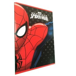 Set 10 Quaderni Maxi Spiderman Rigo B - Carta 100gr Premium