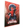Set 10 Quaderni Maxi Spiderman Rigo B - Carta 100gr Premium