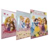Quaderno Maxi Rig. B Principesse Disney A4 - 100gr, Soggetti Assortiti, Set da 10 Pz
