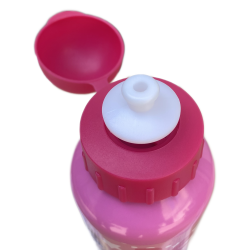 BORRACCIA IN ALLUMINIO PRINCIPESSE DISNEY CON BECCUCCIO E COPERCHIO 500 ML BAMBINa