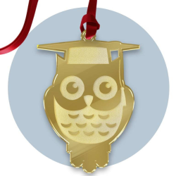 Tag Laurea Gufo Personalizzato in Plexiglass – Segnaposto o Bomboniera Elegante 6 cmPER FESTE E CERIMONIE