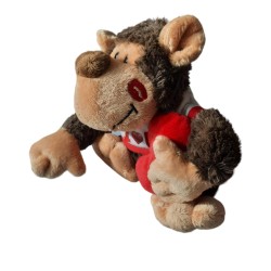 Cassetta San Valentino da regalare con peluche Cassetta di San Valentino da regalare