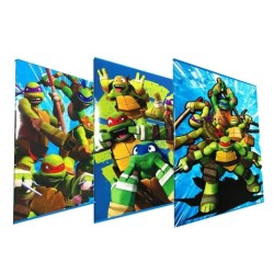 Set 10 Maxiquaderni Tartarughe Ninja 20+1 fogli 80gr – Rigatura 10mm – Fantasie Assortite per Scuola