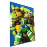 Set 10 Maxiquaderni Tartarughe Ninja 20+1 fogli 80gr – Rigatura 10mm – Fantasie Assortite per Scuola