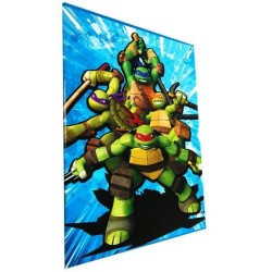 Set 10 Maxiquaderni Tartarughe Ninja 20+1 fogli 80gr – Rigatura 10mm – Fantasie Assortite per Scuola