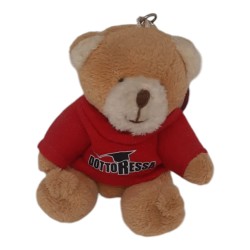 Portachiavi Orsetto Teddy Laurea - Peluche 10 cm con Box Regalo e Frase Dedica per Neo Dottoressa