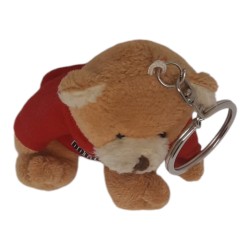 Portachiavi Orsetto Teddy Laurea - Peluche 10 cm con Box Regalo e Frase Dedica per Neo Dottoressa
