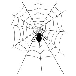 Spaventosa Ragnatela Rotonda con Ragno Finto - Decorazione Halloween per Porte ed Esterni