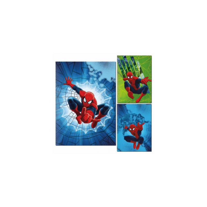 Set da 10 Quadernone SPIDERMAN Marvel maxi Scuola elementare UOMO RAGNO
